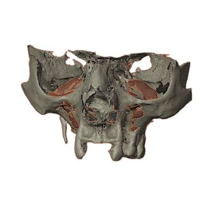 _cartpanda_132495131_cartpanda_132834637_cartpanda_134713497_cartpanda_136318788_cartpanda_136325458_cartpanda_140698312_cartpanda_140704489_cartpanda_140864689_cartpanda_140896491_cartpanda_140898585_cartpanda_140900489_cartpanda_141205544_cartpanda_1496_cartpanda_149651528