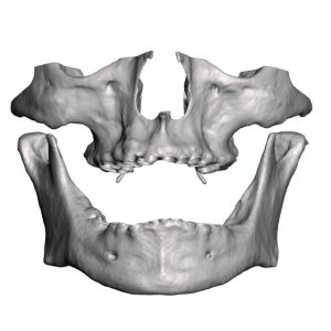 _cartpanda_132087176_cartpanda_132833621_cartpanda_134346714_cartpanda_134713131_cartpanda_136318544_cartpanda_136324760_cartpanda_137679235_cartpanda_140698307_cartpanda_140704595_cartpanda_140864921_cartpanda_140896507_cartpanda_140898601_cartpanda_1409_cartpanda_149651544