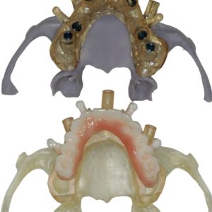 _cartpanda_132213914_cartpanda_132833664_cartpanda_134713148_cartpanda_136318568_cartpanda_136324777_cartpanda_140698120_cartpanda_140704199_cartpanda_140863455_cartpanda_140896456_cartpanda_140898290_cartpanda_140899072_cartpanda_140903635_cartpanda_1412_cartpanda_149651100