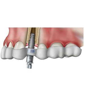 _cartpanda_132976476_cartpanda_132976549_cartpanda_132976581_cartpanda_134713728_cartpanda_136318577_cartpanda_136324786_cartpanda_140698157_cartpanda_140704225_cartpanda_140863490_cartpanda_140896465_cartpanda_140898299_cartpanda_140899081_cartpanda_1409_cartpanda_149651757