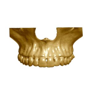 _cartpanda_162125380