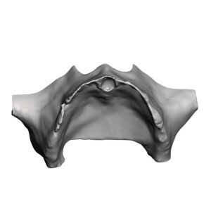 _cartpanda_151819696_cartpanda_151819702_cartpanda_151819951