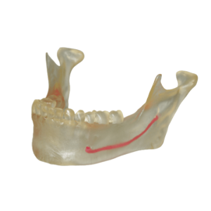 _cartpanda_136317031_cartpanda_136318783_cartpanda_136325472_cartpanda_140698326_cartpanda_140704541_cartpanda_140864914_cartpanda_140896505_cartpanda_140898599_cartpanda_140900512_cartpanda_141205558_cartpanda_149607664_cartpanda_149651542_cartpanda_151812108