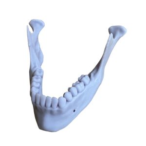 _cartpanda_151813859_cartpanda_151813861