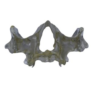 _cartpanda_151816699_cartpanda_151816706_cartpanda_159656282_cartpanda_159656870_cartpanda_159658251_cartpanda_159675559_cartpanda_159676154