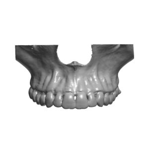 _cartpanda_159662356