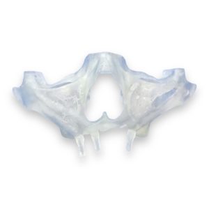 _cartpanda_151816666_cartpanda_151816676